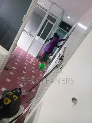 Essential Sofa Cleaners and Recommended Carpet Cleaning Serv