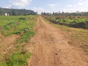 Limited OFFER! 50x100 Land for Sale