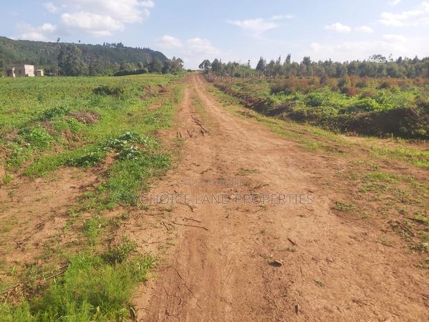Limited OFFER! 50x100 Land for Sale