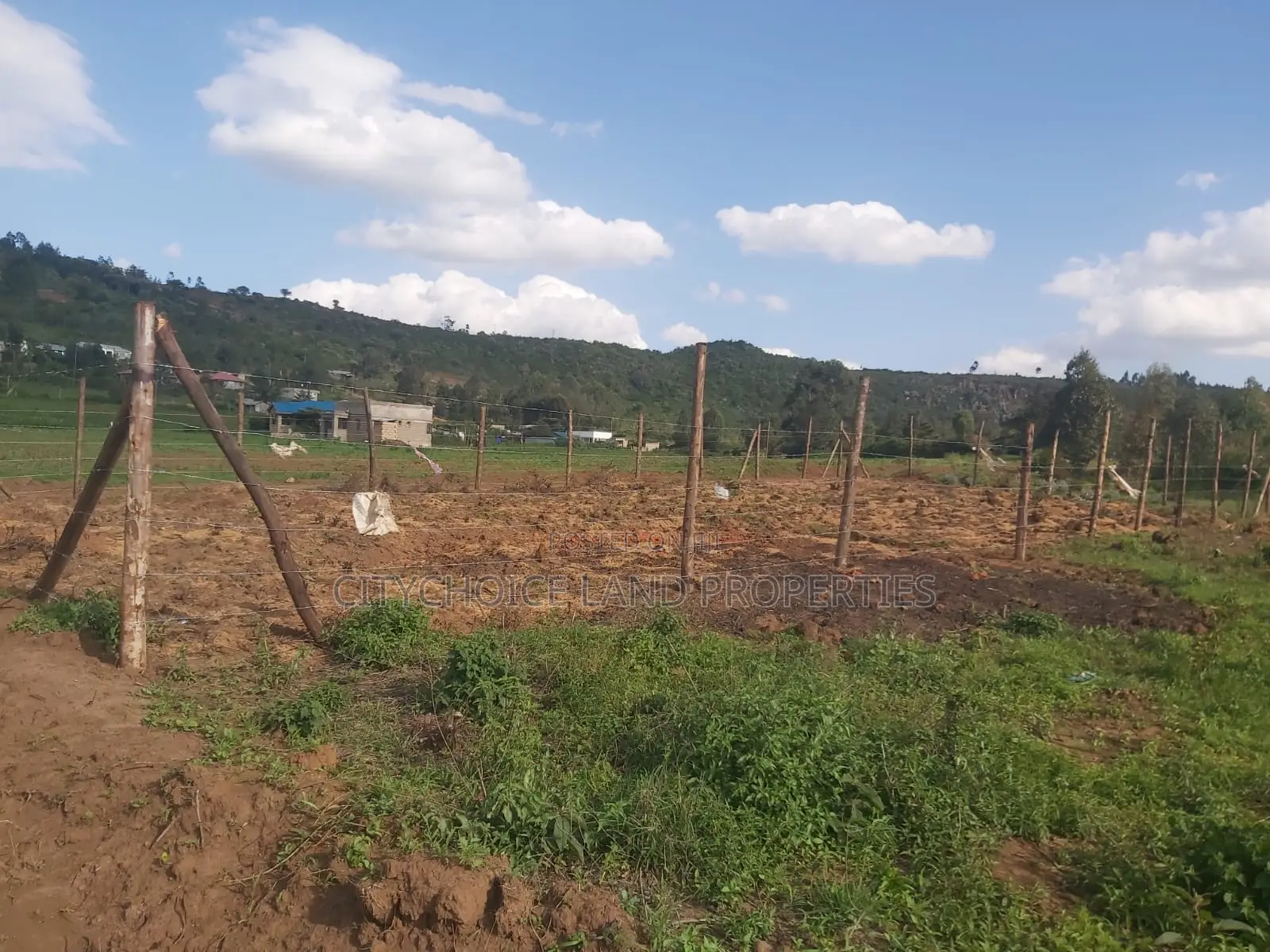 Karai Prime 50x100 Plot for Sale