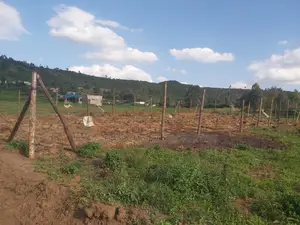 Karai Prime 50x100 Plot for Sale