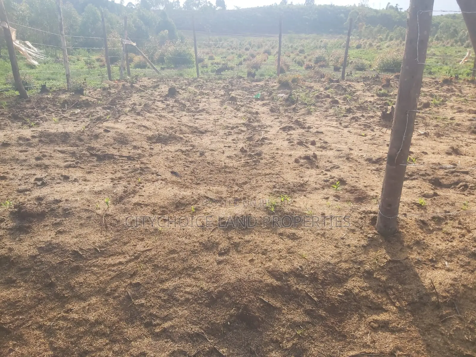 Karai Prime 50x100 Plot for Sale
