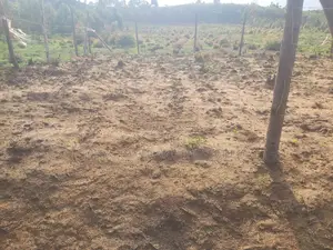 Karai Prime 50x100 Plot for Sale
