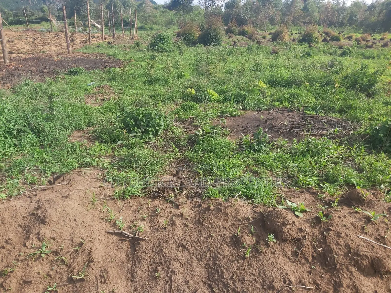 Karai Prime 50x100 Plot for Sale