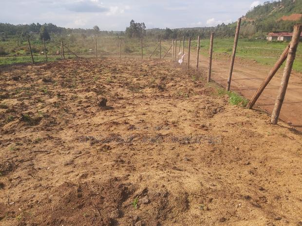 50x100 Affordable Plot in Kikuyu Karai - thumbnail 4