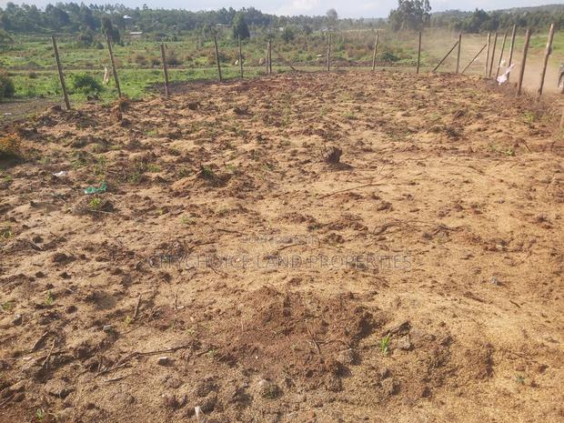 50x100 Affordable Plot in Kikuyu Karai - thumbnail 5