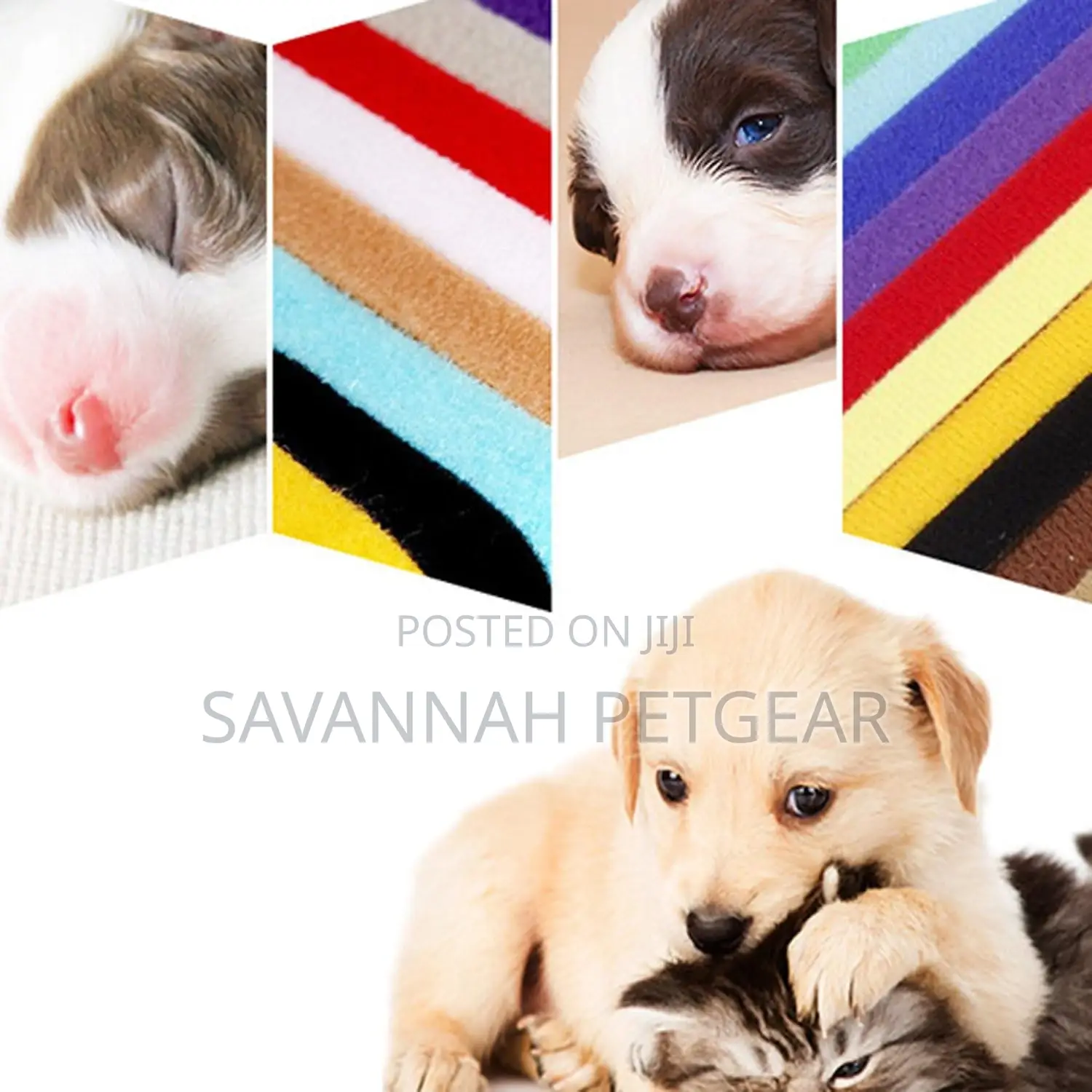 12 Colors Puppy ID Collars Whelping Dog Adjustable -XL Band