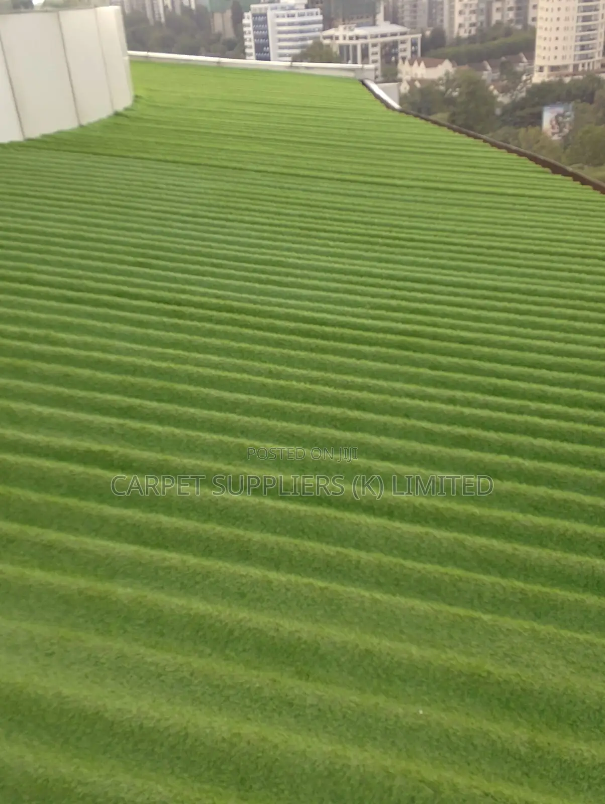 Grass Carpet