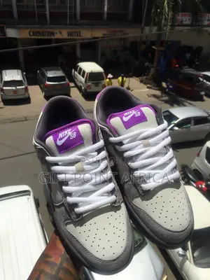 Nike SB Dunk Sneakers