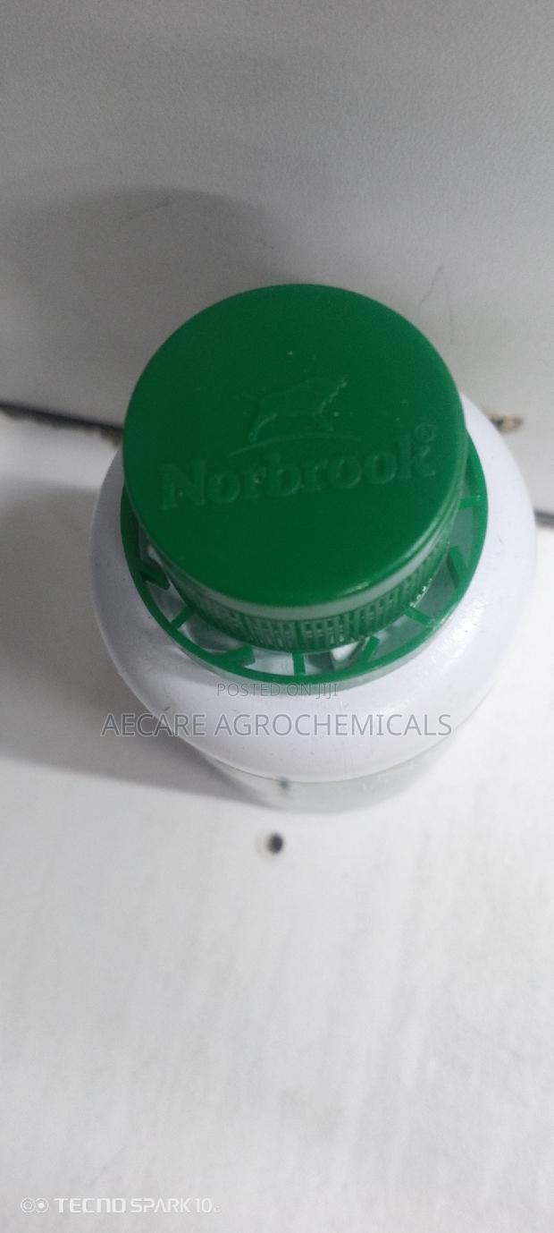 Norocleanse Disinfectant 100ml - thumbnail 4