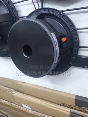 Derwel 10ah-27 Naked Speaker