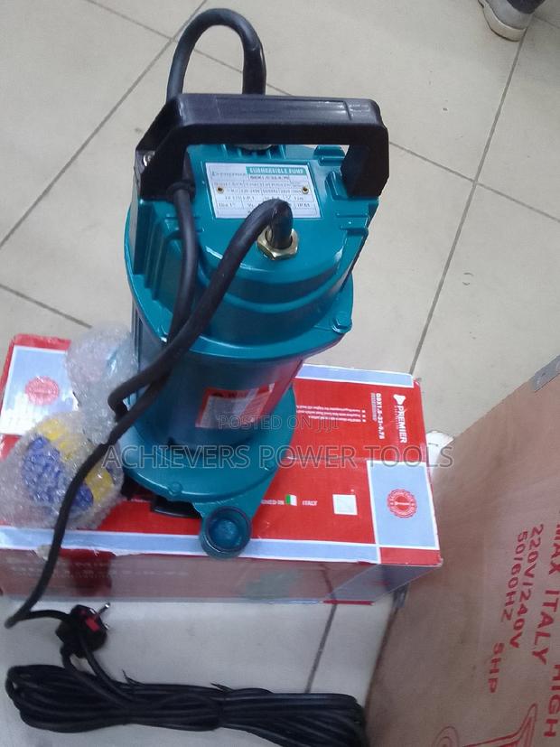 Premier Submersible Water Pump