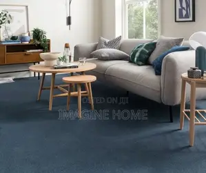 Wall to Wall/Office Carpets