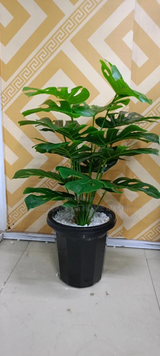 Planter Vase Black With Monstera Plant - main view