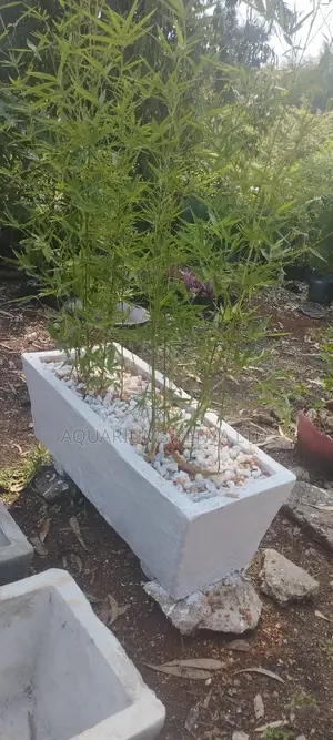Decorated Bamboo Trough for Flower Pots,Flower Pot