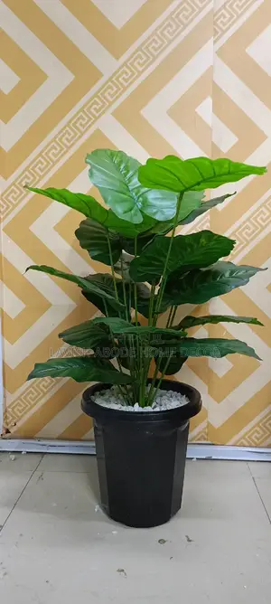 Artificial Plant in a Black Plant Pot -Indoor and Outdoor