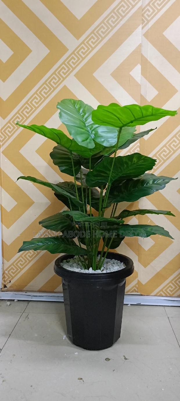 Artificial Plant in a Black Plant Pot -Indoor and Outdoor