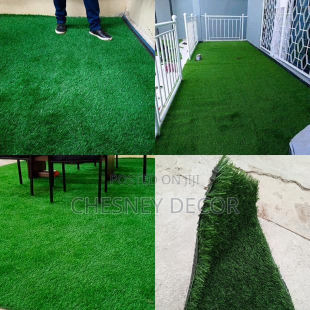 Carpet Grass Carpet Grass Carpet Grass Carpet Grass