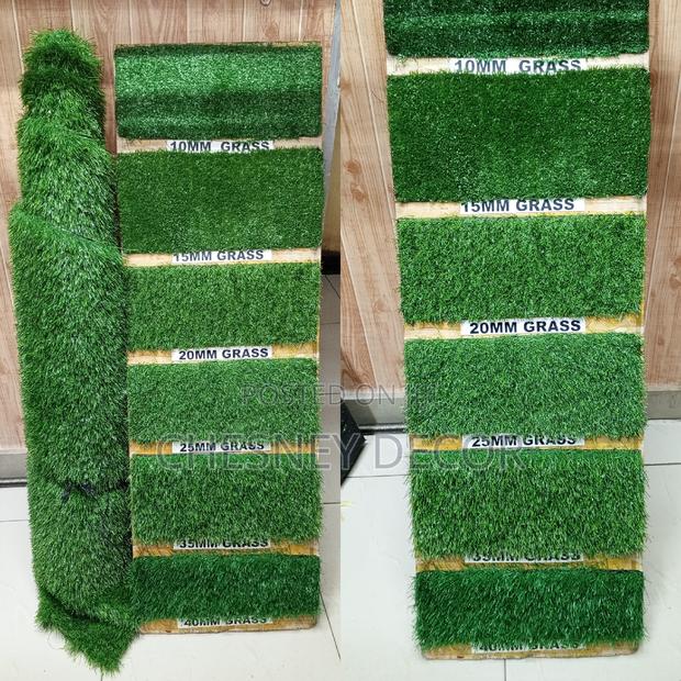 Green Grass Carpet In Kenya