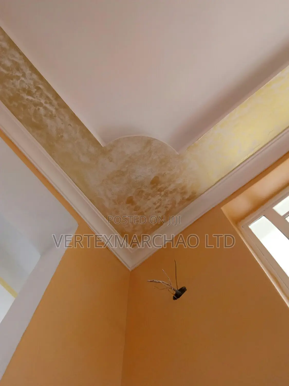 Skimming, Silk and Effects Application.