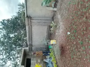 Foreman,(Approved)Plastering,Steel Fixer,Bricks Laying,Setting Profile