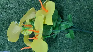 Yellow Lilies