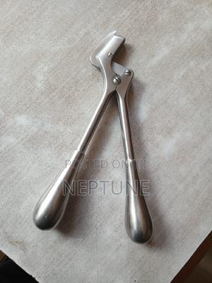 Plaster Shear - thumbnail 2