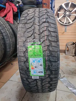 275/55r20 Lavingator At