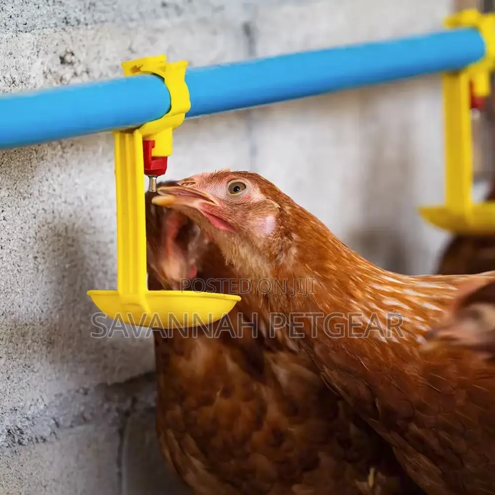 Long Cup Automatic Chicken Nipple Drinker -100 Pieces