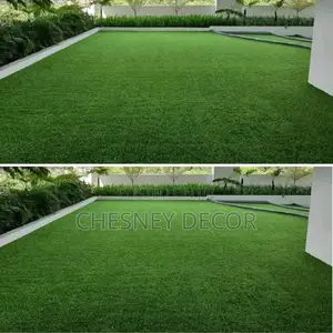 Artificial Grass Carpet Artificial Grass Carpet