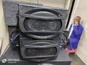 Pioneer Aseries Midranges
