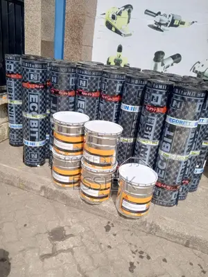 Waterproofing APP Membrane Ecobit