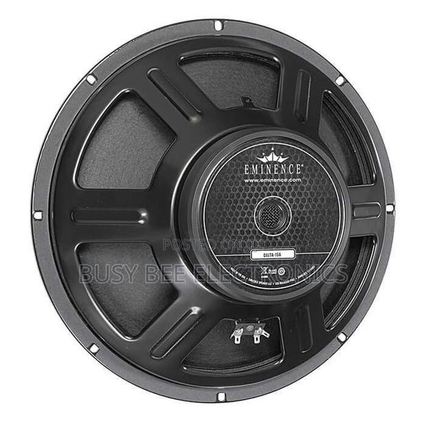 Delta 15 Eminence Naked Speaker - main view