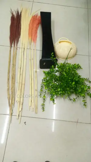 Pampas 150,Vase 1000,Vines 2000