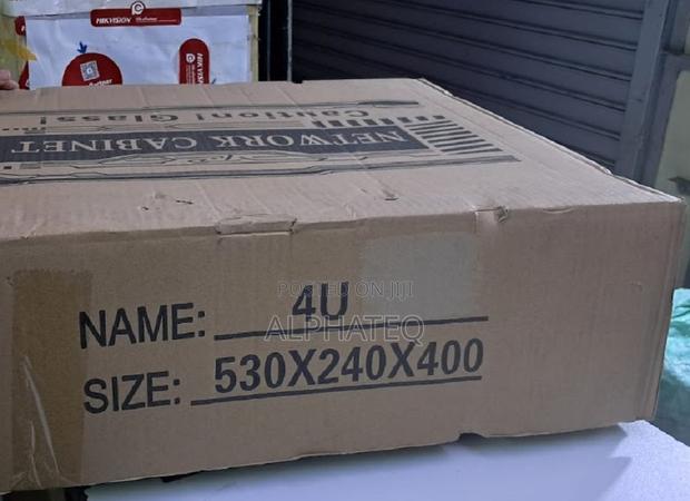 Networking Cabinet 4u and 6u Cabinet Available - main view