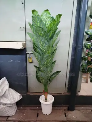 1.6m Long Plant and Vase With Pebble Stones