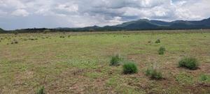 1 Acre For Sale In Kajiado Kiserian Oltepesi/Tinga