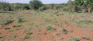 (50x100) Residential Plots for Sale Ngong Kimuka