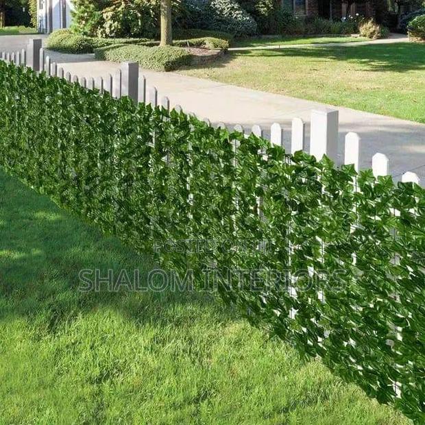 Privacy Fence Privacy Fence Privacy Fence Privacy Fence