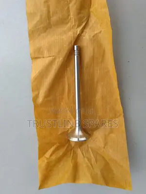 AUDI A3,A4,Amarok,Golf V, VI, Jetta - Original Exhaust Valve