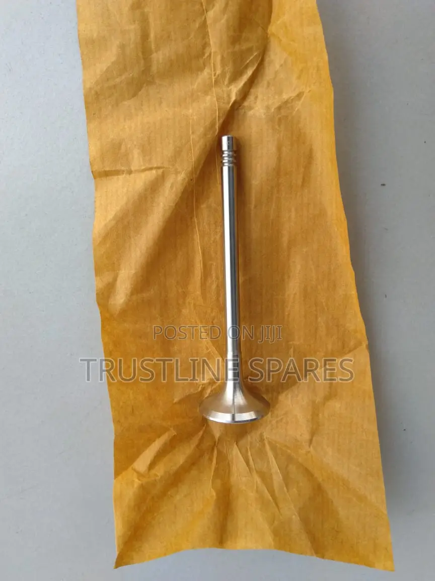 AUDI A3,A4,Amarok,Golf V, VI, Jetta - Original Exhaust Valve