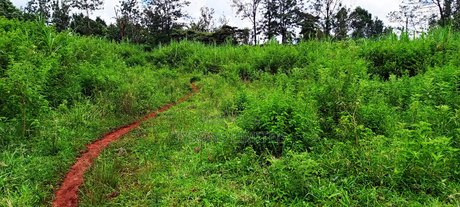 Vacant Plots for Sale in Thindigua