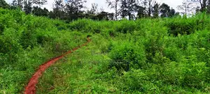 Vacant Plots for Sale in Thindigua
