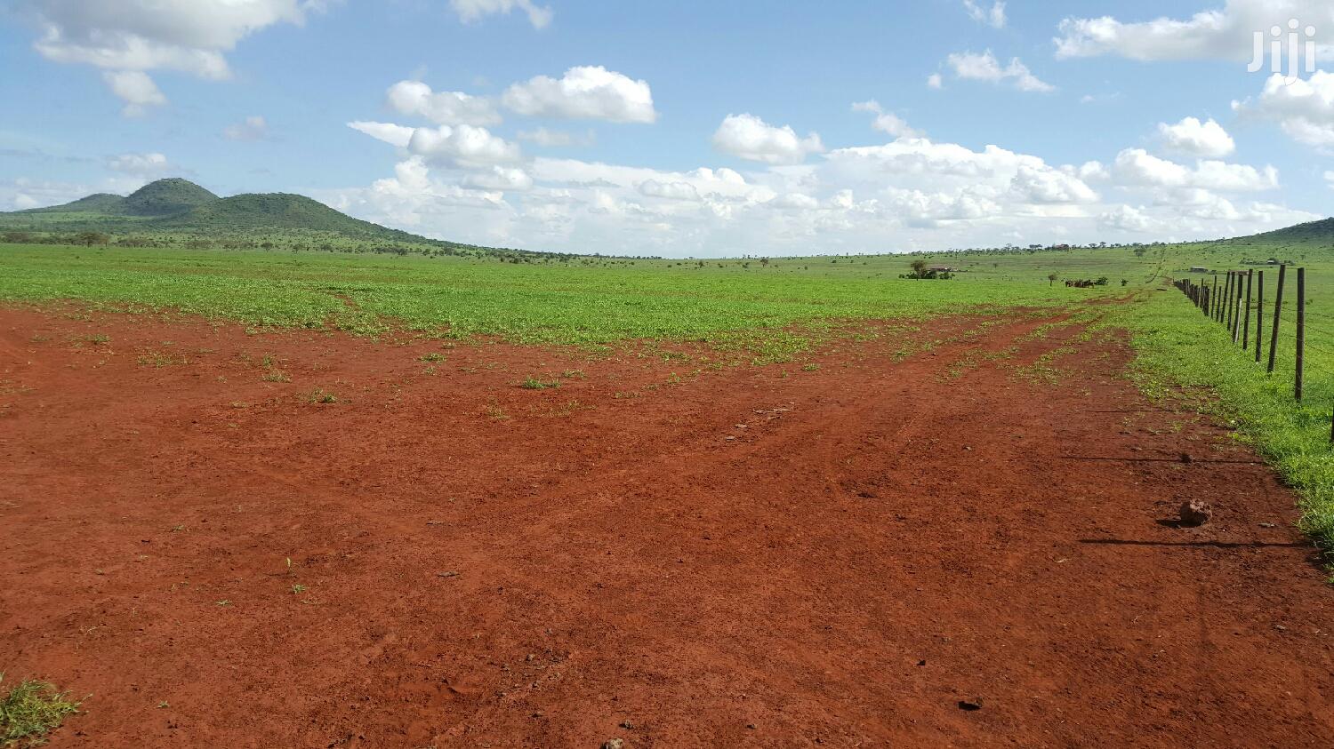 100 Acres Emali Land