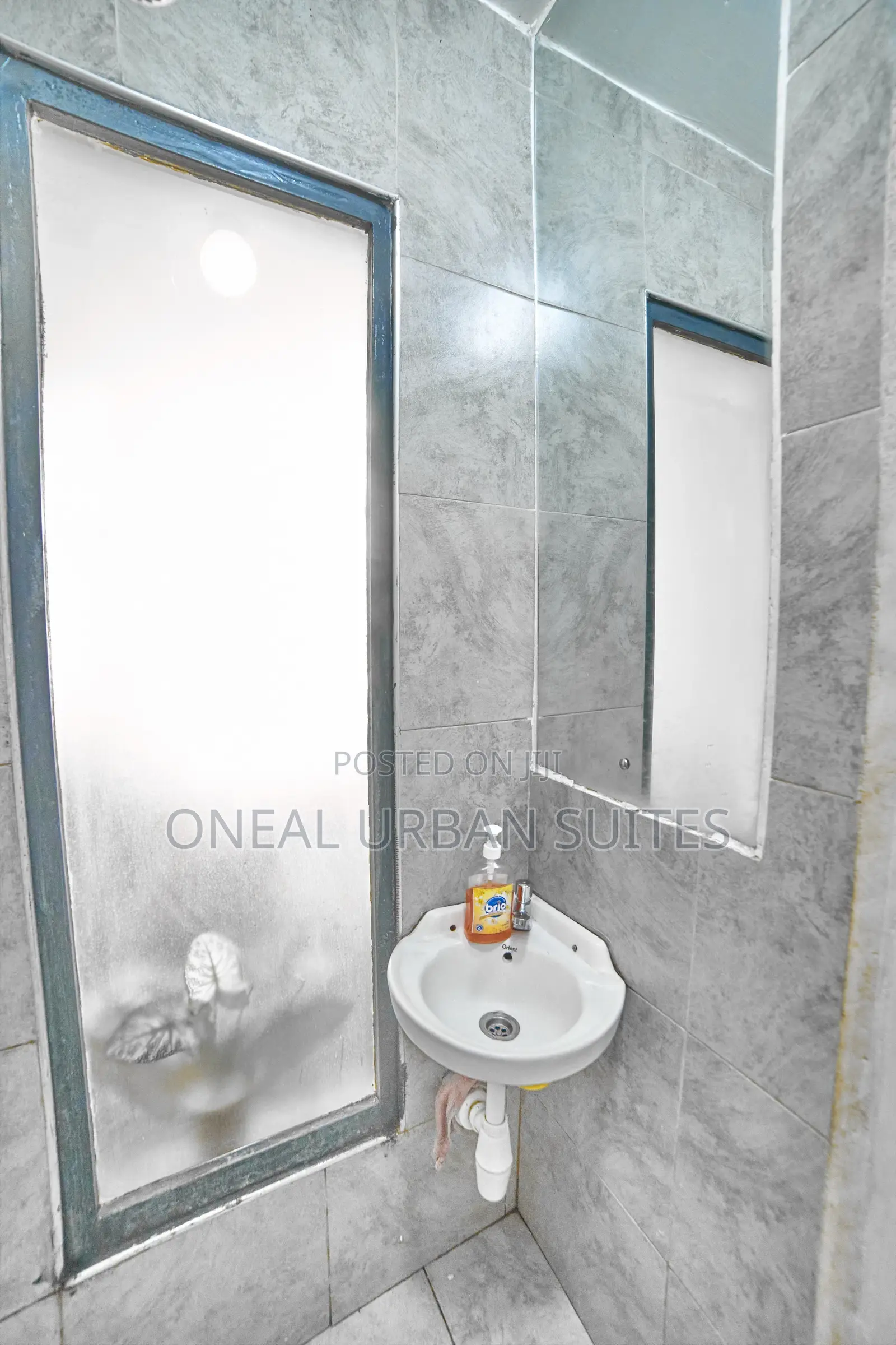 Furnished Studio Apartment in Fedha for rent