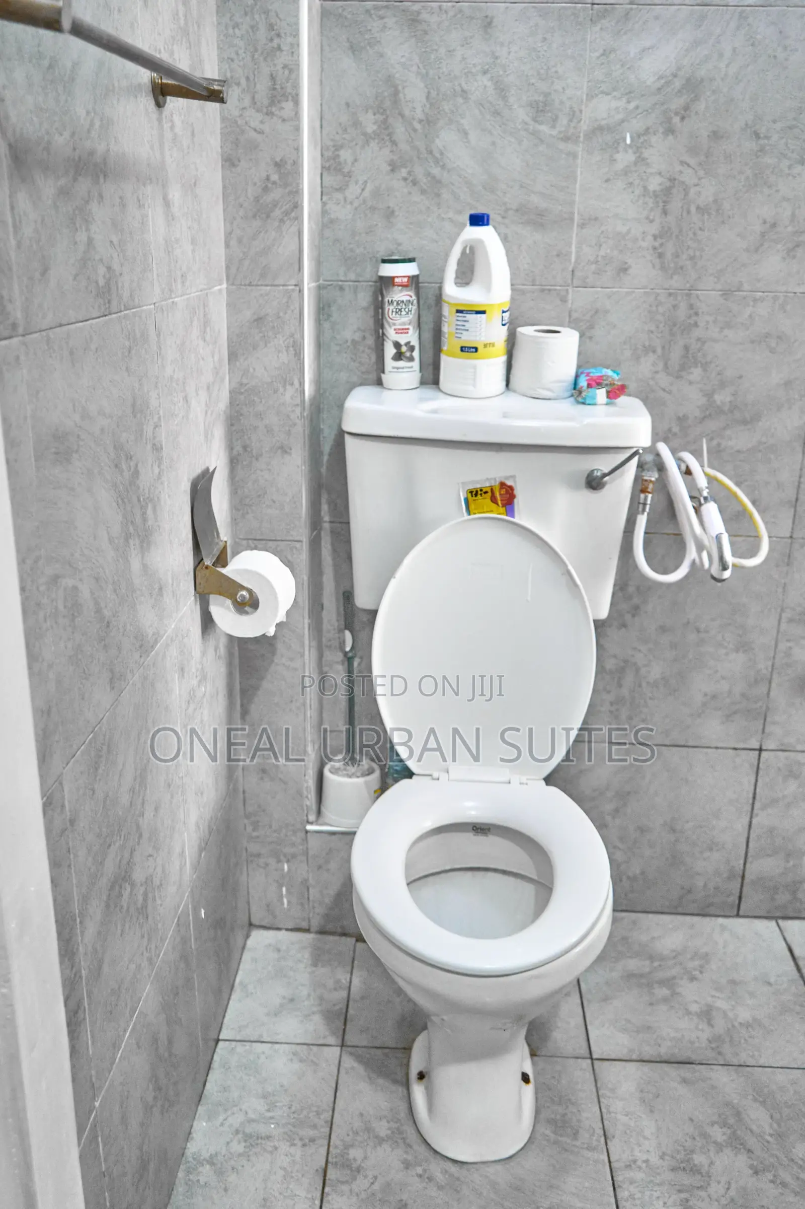 Furnished Studio Apartment in Fedha for rent