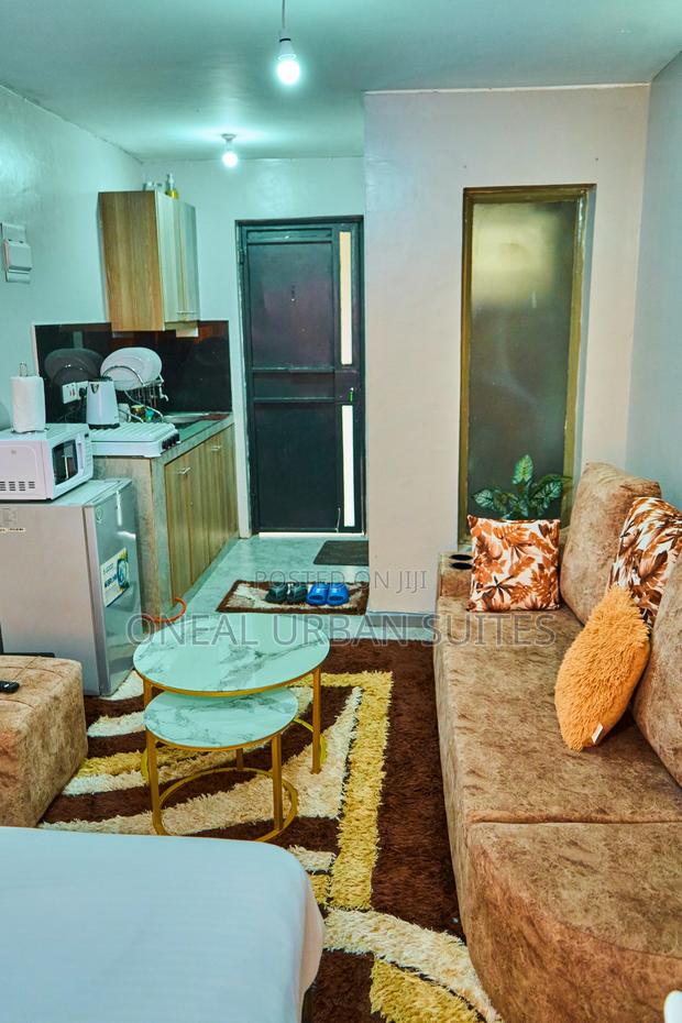 Furnished Studio Apartment in Fedha for rent - thumbnail 18