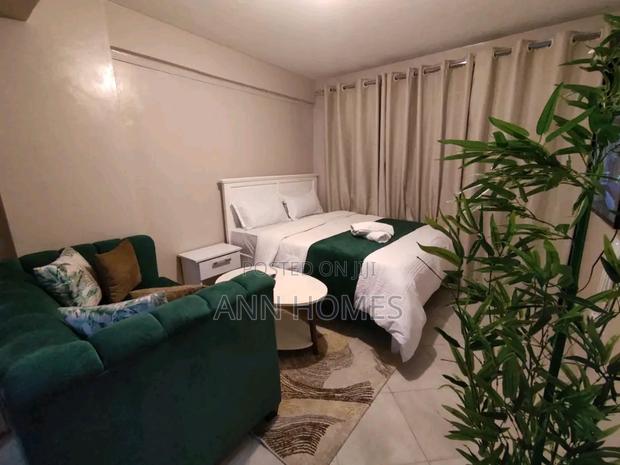 Studio BNB Available in South B - thumbnail 5