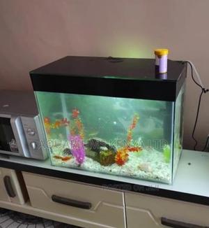 Desktop Standard 2ft by 11⁄2ft by 1ft Aquarium - thumbnail 2