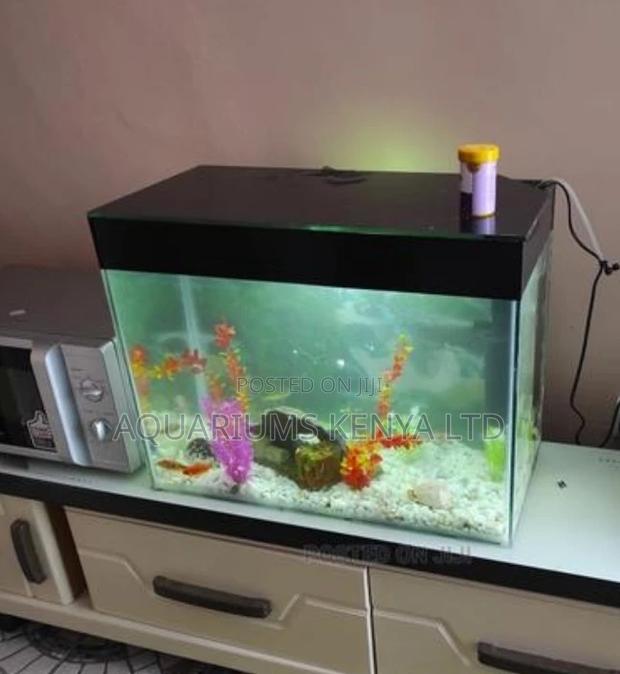Desktop Standard 2ft by 11⁄2ft by 1ft Aquarium - main view